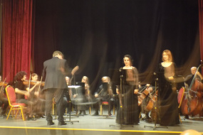 Концерт со учество на Гонца Богоромова Краповски по повод 70-годишнината на НАТО и коктел во КИЦ на РСМ во Софија (фотографија)
