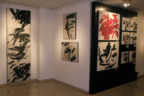 Национална галерия на Македония, проект: Самостоятелна изложба на Нове Франговски (фотография)