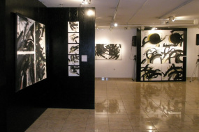 Национална галерија на Македонија, проект: Самостојна изложба на Нове Франговски (фотографија)
