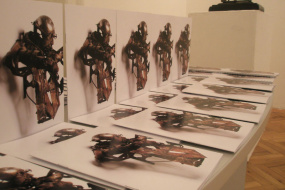 ЏЕЗИ МЕМ дооел - Скопје, подружница-галерија АРТ, проект: Изложба скулптури на Владо Костов (фотографија)